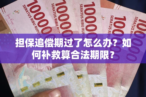 北京担保追偿期过了怎么办？如何补救算合法期限？