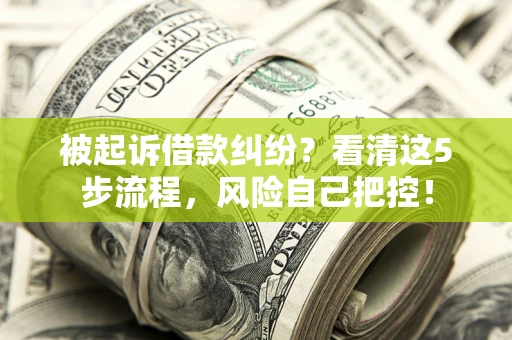北京被起诉借款纠纷？看清这5步流程，风险自己把控！