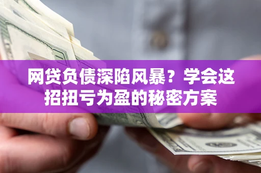 北京网贷负债深陷风暴？学会这招扭亏为盈的秘密方案